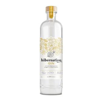Hibernation Gin Dyfi 45% 50cl thumbnail